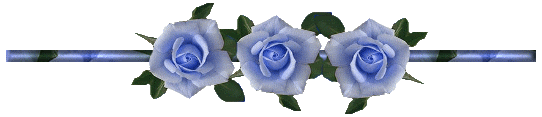 blue-rose-divider_orig (1)