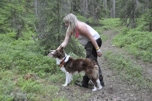 _DSC0449 _DSC0449