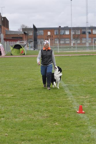_DSC0279 _DSC0279