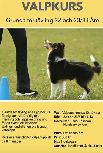 Skärmavbild 2020-07-29 kl. 13.42.21 Skärmavbild 2020-07-29 kl. 13.42.21