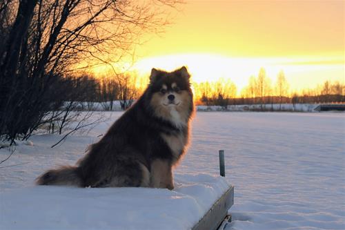 eskil