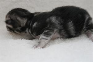 IMG_0355 IMG_0355