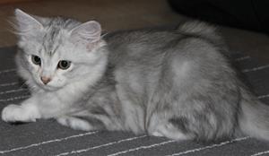 IMG_4285 IMG_4285