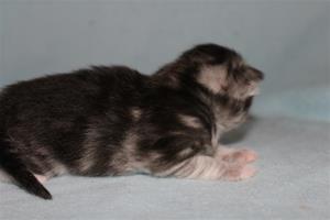 IMG_3203 IMG_3203