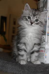 IMG_3849 IMG_3849