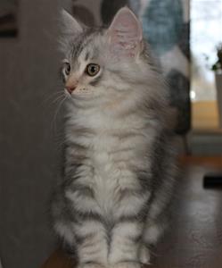 IMG_4204 IMG_4204