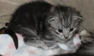IMG_3310 IMG_3310