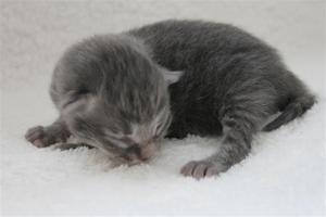 IMG_0346 IMG_0346