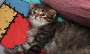 IMG_1000 IMG_1000