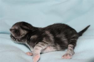 IMG_3118 IMG_3118