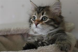 IMG_1402 IMG_1402