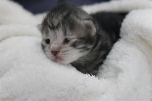 IMG_0404 IMG_0404