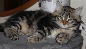 IMG_4361 IMG_4361