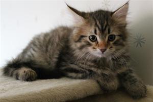 IMG_1410 IMG_1410