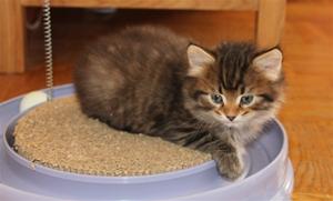 IMG_1183 IMG_1183