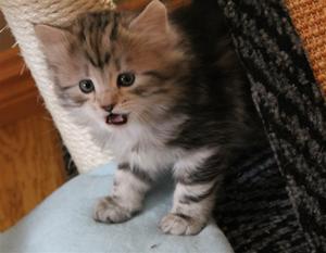 IMG_1112 IMG_1112