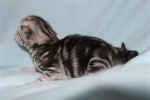 IMG_3091 IMG_3091