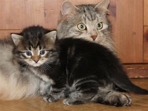 IMG_3380 IMG_3380