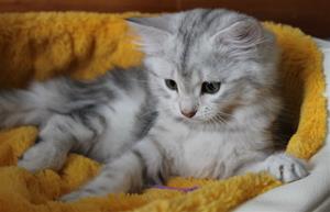 IMG_4029 IMG_4029