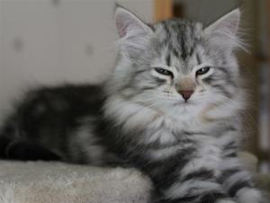 IMG_1567 IMG_1567