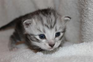 IMG_3274 IMG_3274