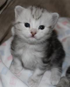 IMG_3280 IMG_3280