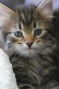 IMG_1270 IMG_1270
