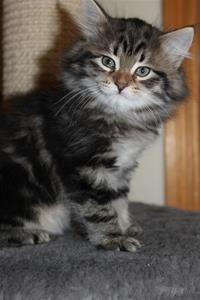 IMG_3835 IMG_3835