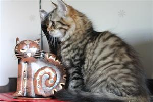 IMG_1733 IMG_1733