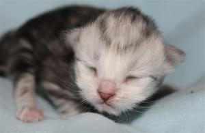 IMG_3085 IMG_3085