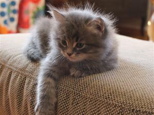 IMG_1178 IMG_1178