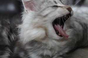 IMG_1728 IMG_1728