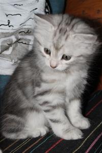 IMG_3886 IMG_3886