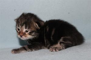 IMG_3181 IMG_3181