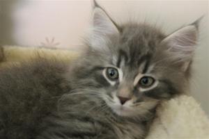 IMG_1412 IMG_1412