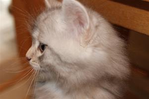 IMG_3801 IMG_3801
