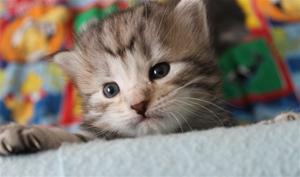 IMG_0770 IMG_0770