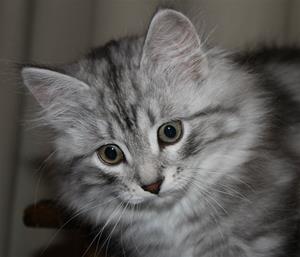 IMG_4374 IMG_4374