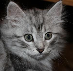 IMG_4014 IMG_4014