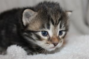 IMG_3286 IMG_3286