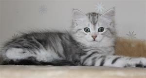 IMG_3898 IMG_3898