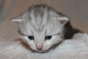 IMG_3294 IMG_3294
