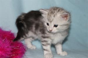 IMG_3430 IMG_3430