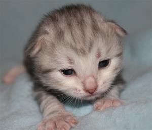 IMG_3212 IMG_3212
