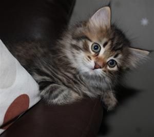 IMG_1360 IMG_1360