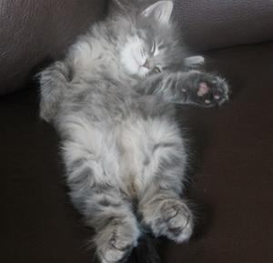 IMG_1305 IMG_1305
