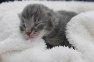 IMG_0415 IMG_0415