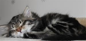 IMG_3968 IMG_3968
