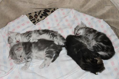 IMG_3326 IMG_3326