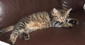 IMG_1537 IMG_1537